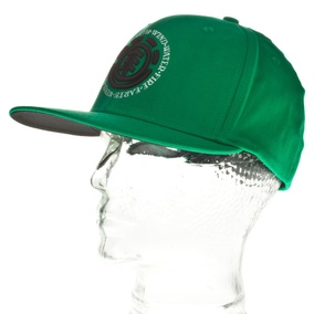 Element Flat Cap celtic SM